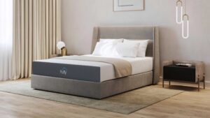 we review the puffy mattress